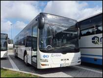 MAN Lion's City von Regionalbus Rostock in Rostock am 13.04.2014