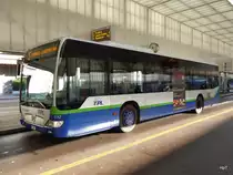 TPL - Mercedes Citaro  Nr.312  TI 142027 unterwegs auf der Linie 5 in Zentrum beim TPL Busterminal am 25.12.2015