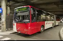 Gelenkbus 101 der TPF im Bahnhof Fribourg. 07.11.2015