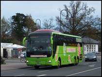 MAN Lion's Coach von MeinFernBus/Omnibusbetrieb Karsten Brust aus Deutschland in Binz am 15.04.2014