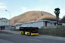 Regie Bellinzona/Merzaghi, Maroggia. MAN Lion's Midi (TI 215'333) in Maroggia-Melano, Stazione. (24.1.2016)
