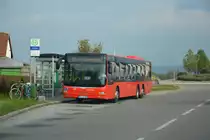 Am 13.10.2015 fährt FR-JS 474 auf der Linie 38 nach Basel Claraplatz. Aufgenommen wurde ein MAN Lion's City L / Wyhlen Siedlung.
