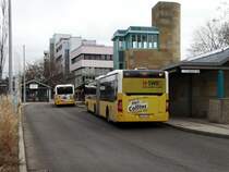 SSB Mercedes Benz Citaro 1 Facelift G am 13.02.16 von hinten in Stuttgart