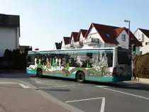 SVM Märchenexpress Mercedes Benz Citaro 1 Facelift am 09.03.16 in Maintal. So langsam fällt die Beklebung ab 
