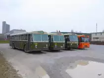 Tramverein Bern / ex Bern Mobil - Fototreff mit den Oldtimer FBW Nr.157 und FBW Nr.251 und FBW 270 und FBW 283 in Bern 12.03.2016