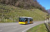 Starnini, Tenero. Mercedes-Benz Citaro II LE (TI 148'770) kurz vor Gudo, Chiesa. (18.3.2016)