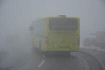 FL-39841 fährt am 16.10.2015 auf der Linie 21 nach Malbun. Aufgenommen wurde ein Setra S 415 NF / Malbunstrasse Liechtenstein.
