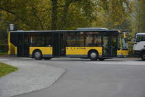 Am 17.10.2015 wurde FK-BUS11 im Zentrum von Feldkirch gesehen. Aufgenommen wurde ein Mercedes Benz Citaro Facelift.
