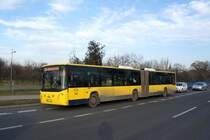 Serbien / Stadtbus Belgrad / City Bus Beograd: Ikarbus IK-218N - Wagen 443 der GSP Belgrad, aufgenommen im Januar 2016 in der N�he der Haltestelle  Bulevar Nikole Tesle  in Belgrad.