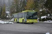 FL-39841 fährt am 17.10.2015 auf der Linie 21 nach Malbun. Aufgenommen wurde ein Setra S 415 NF.