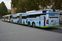 S-SB 7708 fährt am 19.10.2015 auf der Linie 42. Aufgenommen wurde ein Mercedes Benz CapaCity / Stuttgart Schlossplatz.
