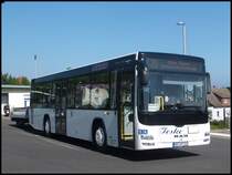 MAN Lion's City Ü LE vom Reisedienst Teske aus Deutschland in Sassnitz am 25.05.2014