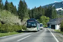 MAN Lion's Regio  Goldeck  von POSTBUS unterwegs als SEV-Kurs 14233 (Greifenburg-Weißensee Bahnhof - Lienz Bahnhof), am 29.4.2016 nahe der Haltestelle Berg im Drautal Bahnhof.
Dieser SEV-Kurs wird insgesamt mit drei Bussen abgewickelt.