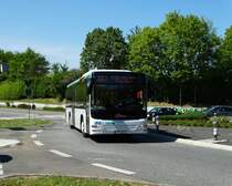 Eberwein Reisen MAN Lions City am 06.05.16 auf der Linie 551 in Bad Vilbel