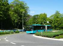 VGF MAN Lions City G Wagen 407 am 06.05.16 in Bad Vilbel 