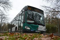 Am 13.11.2015 fährt B-MB 3416  920  auf der Linie 699. Aufgenommen wurde ein Mercedes Benz Citaro der 2. Generation / Potsdam, Bahnhof Rehbrücke.
