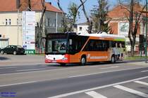 Mercedes-Benz O 530 Citaro C2 LE-Ü, Wagennummer 337, der Uckermärkischen Verkehrsgesellschaft mbH, 2016 auf der Linie 447 in Prenzlau.
