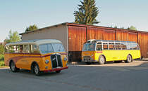 Zwei ehemalige Postautos heute im Besitz von Wegmüller Attikon im Vorfeld der Frühlingsfahrt vom 7. Mai 2016.