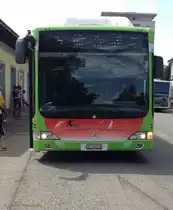 Front des Citaro mit Vollwerbung für Erdgas, am 3.8.2013.