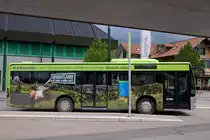 BLS: MERCEDES CITARO 205  WANDERBUS  in Langnau im Emmental am 14. Mai 2016.
Foto: Walter Ruetsch