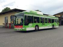 Citaro CNG Nr. 25 mit Vollwerbung für Erdgas, am 18.5.2016 am Bhf Süd.