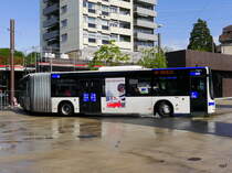 TL - MAN Lion`s City Nr.642  VD 291620 unterwegs auf der Linie 41 in der Stadt Lausanne am 10.05.2016