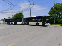 TL - MAN Lion`s City Nr.648  VD 538575 unterwegs auf der Linie 21 in der Stadt Lausanne am 10.05.2016