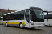 Am 09.12.2015 steht TF-VG 80 auf dem Bassinplatz in Potsdam. Aufgenommen wurde ein MAN Lion's Regio der VTF.
