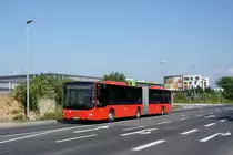 Bus Mainz: MAN Lion's City G vom Rhein-Nahe-Bus (Omnibusverkehr Rhein-Nahe / ORN), aufgenommen im Mai 2016 in der Nähe der Haltestelle  Hochschule Mainz  in Mainz.