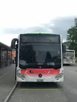 Front des neuen CNG C2 Nr. 30, am 2.6.2016 beim Bhf Süd.