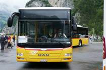 MAN Gelenkbus beim Festplatz Rynächt am 5.6.2016.