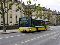 TransN - MAN Nr.202  NE 114202 unterwegs auf der Linie 109 in den Strassen von Neuchâtel am 22.05.2016