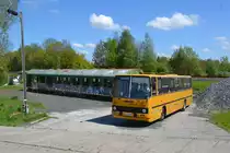 Ikarus am 08.05.2016 in Löbau.