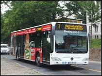 Mercedes Citaro II der Stadtwerke Stralsund in Stralsund am 10.06.2014