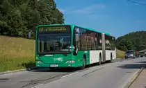 Mal wieder was neues aus Graz, seit den 02.07.2016 verkehrt die Linie 77 wieder verlängert bis zum Jakominiplatz wegen Gleisbauarbeiten am Glacis sowie Riesstraße, hier Citaro G Wagen 166 in der Ragnitzstraße, 04.07.2016. 