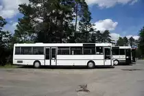 Bus Kaiserslautern: Mercedes-Benz O 407 von Schary-Reisen GbR, aufgenommen im Juni 2016 im Stadtgebiet von Kaiserslautern.