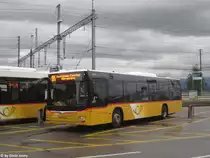 Postauto/PU Schuler SZ 110 235 (MAN A21 Lion's City) am 14.6.2016 beim Bhf. Pfäffikon SZ