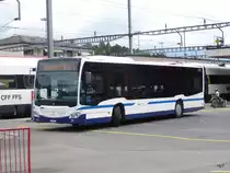 Zugerland - Mercedes Citaro  Nr.249 SZ 5440 in Arth-Goldau am 24.07.2016