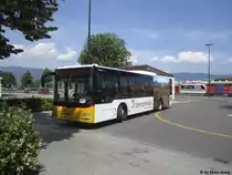Postauto/PU Bossi GR 82488 (MAN A21 Lion's City) am 8.7.2016 beim Bhf. Yverdon-les-Bains. Da die Standrdbusse von PU Bossi nur im Winter als Skibusse benötigt werden, werden sie jeweils im Sommer an Betriebe ausgeliehen, die einen erhöhten Fahrzeugbedarf, z.B. für Bahnersatz, haben. Dabei kommen sie zum Teil weitab der Heimat zum Einsatz.