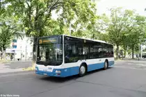VBZ Nr. 337 (MAN A35 Lion's Midi) am 30.7.2016 beim Schwamendingerplatz