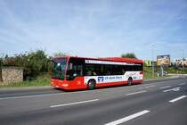 Bus Mainz: Mercedes-Benz Citaro LE Ü vom Omnibusbetrieb Karl Lehr GmbH & Co. KG, unterwegs im Auftrag des Omnibusverkehr Rhein-Nahe / Rhein-Nahe-Bus, aufgenommen im August 2016 in der Nähe der Haltestelle  Hochschule Mainz  in Mainz.