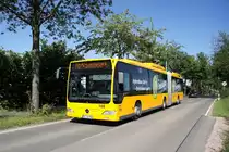 Stadtbus Mainz / Hybridbus Mainz: Mercedes-Benz Citaro Facelift G Hybrid / Mercedes-Benz Citaro Facelift GDH der MVG Mainz / Mainzer Verkehrsgesellschaft, aufgenommen im August 2016 zwischen Mainz-Lerchenberg und Mainz-Marienborn.