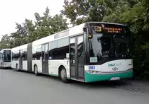 Dau Bus in Langenhagen ( Han. ) am 05.07.2013