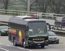 Beulas Cygnus n° 17 Buchard, près de Berne printemps 2015