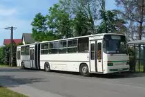 IKARUS Gelenkbus in Tiszabercel, 29.5.16