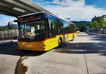 Ein MAN Lion´s City von PostAuto, steht am 18.7.2016 abfahrtbereit an der Haltestelle Uzwil, Bahnhof.
Unterwegs war der Bus auf der Linie 80.726, als Kurs 72638 (Uzwil, Bahnhof - Zuzwil SG, Post - Wil SG, Bahnhof).