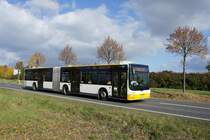Stadtbus Mainz: MAN Lion's City G der MVG Mainz / Mainzer Verkehrsgesellschaft, aufgenommen im Oktober 2016 in Mainz-Hechtsheim.