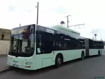 MAN Lion's City CNG der Stadtverkehrsgesellschaft mbH Frankfurt Oder in Frankfurt am 09.06.2016