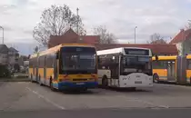 Ikarus EAG E94G und E94F, aufgenommen am 11.11.2016.