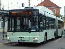 MAN Niederflurbus 2. Generation CNG der Stadtverkehrsgesellschaft mbH Frankfurt Oder in Frankfurt am 09.06.2016
